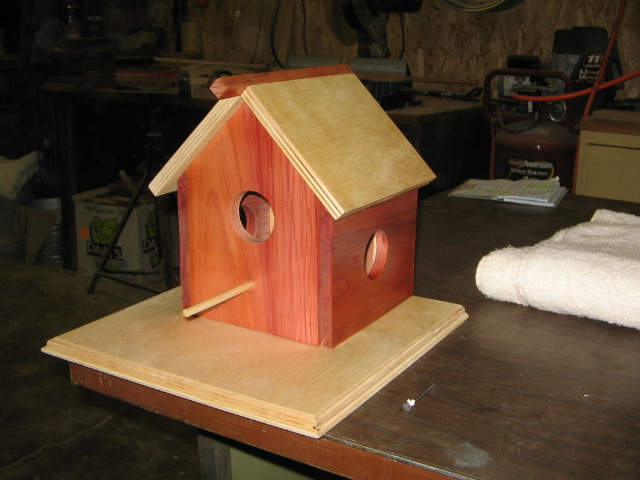 Parakeet house